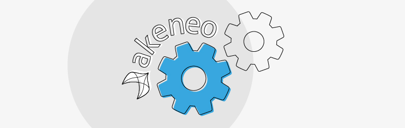 Translation automation with Akeneo